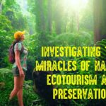 Investigating the Miracles of Nature: Ecotourism and Preservation
